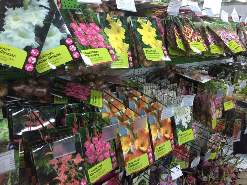 Интернет Магазины Семян Цветов В Ук